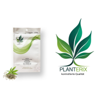 Planterix Auto Jack Herer automatic 3 Samen