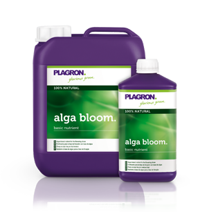 Plagron Alga Bloom 1L Blütedünger Booster für Blütephase Growing