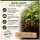 BioBizz Try Pack Outdoor Set 3x 250 ml – Komplettset für Wachstum und Blüte