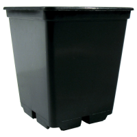 Pflanzentopf 0,25L Eckig Schwarz Grow & Anzucht...